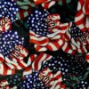 DIP KIT -  METALLIC ROSE FLAGS