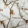 DIP KIT -  SNOWY WOODS