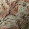 OCEAN FLOOR - Image 2