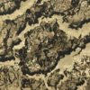 VEIL WHITETAIL HYDROGRAPHIC FILM