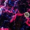 DIP KIT -  GALAXY #10 - Image 2