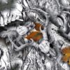 SNOW BUCK HYDROGRAPHIC FILM - EXCLUSIVE