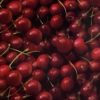 DIP KIT -  CHERRIES