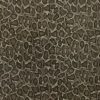 GRAY SNAKE SKIN