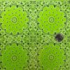 DIP KIT -  GREEN BANDANNA - Image 2