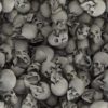 3D SKULLS