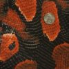 RED BOA SNAKE SKIN - Image 2