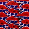 DIP KIT -  SOUTHERN FLAG