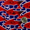 DIP KIT -  SOUTHERN FLAG - Image 2