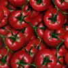 DIP KIT -  TOMATOES