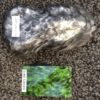 Lime Green Candy Concentrate Powder - Image 2
