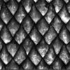 Dragon Scales-Black & Clear