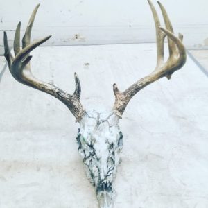 deer skull hydro dipped in Dip Demon's film TrueTimber MC2 Snow Camo