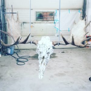 moose skull in TrueTimber MC2 Snow Camo