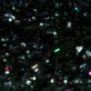 Spina's Black Powder TRIPPIN' FLAKE