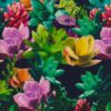 SUCCULENTS